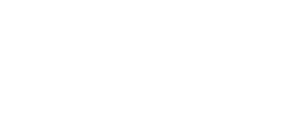 EAGLE GOLF CARS LLC